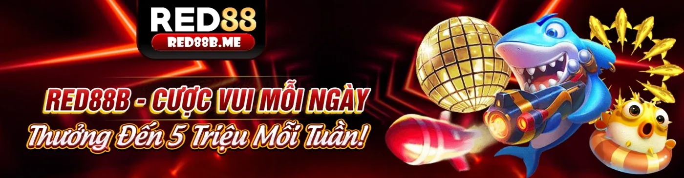 Sân vận động thể thao sôi động của vb68